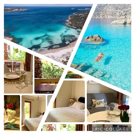 アパート Nest House - Esclusivo Marina Di Olbia- Mater - Beaches - Close To The Airport - Private Parking- Full Comforts -