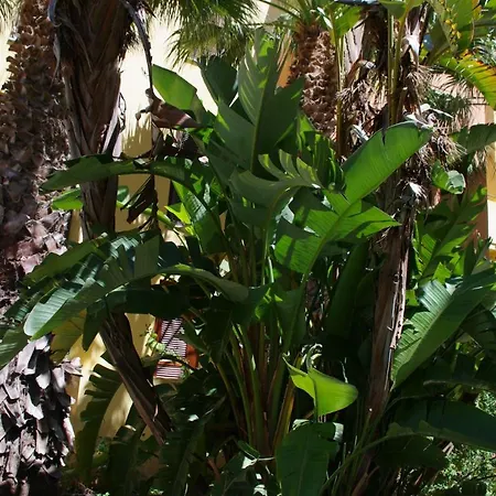 Апартаменты Nest House - Esclusivo Marina Di Olbia- Mater - Beaches - Close To The Airport - Private Parking- Full Comforts -