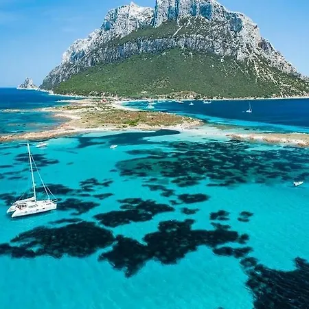 Apartment Nest House - Esclusivo Marina Di Olbia- Mater - Beaches - Close To The Airport - Private Parking- Full Comforts - *