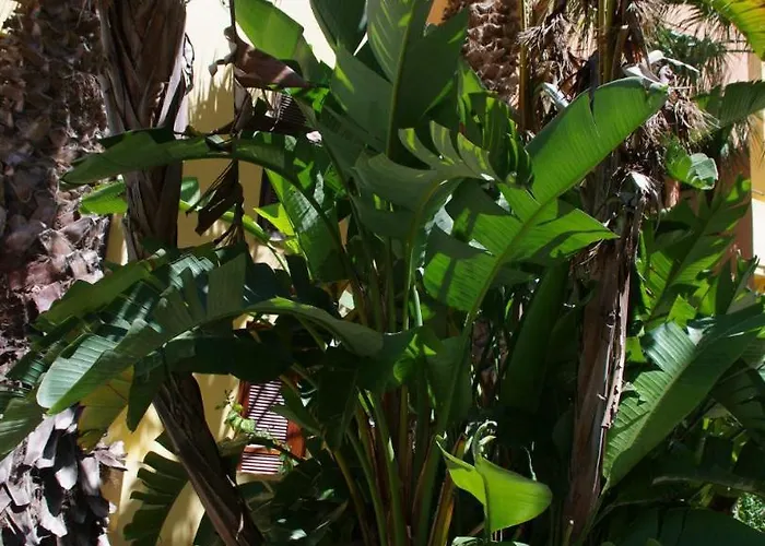 Апартаменты Nest House - Esclusivo Marina Di Olbia- Mater - Beaches - Close To The Airport - Private Parking- Full Comforts -