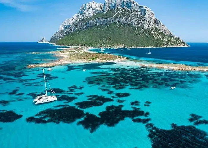 Apartamento Nest House - Esclusivo Marina Di Olbia- Mater - Beaches - Close To The Airport - Private Parking- Full Comforts - *